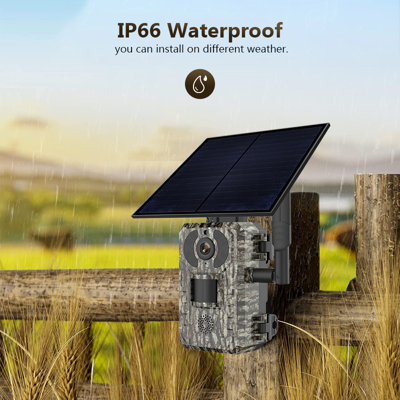 4G 4MP Outdoor Wildlife Huntin - Trail Camera Infrared recension och pris