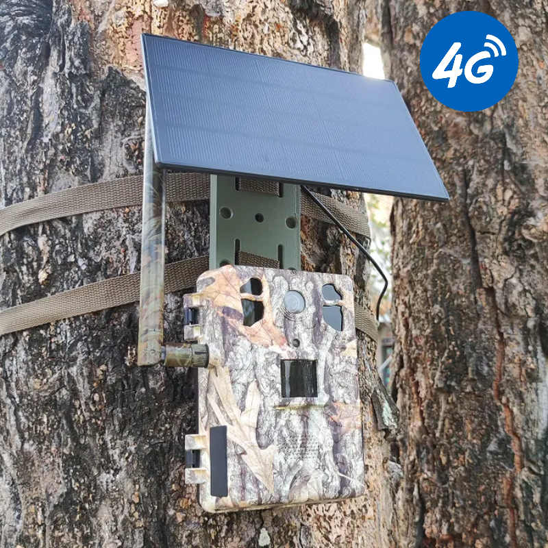 4G LTE Wildlife Solar Hunting  - Trail Camera Infrared recension och pris