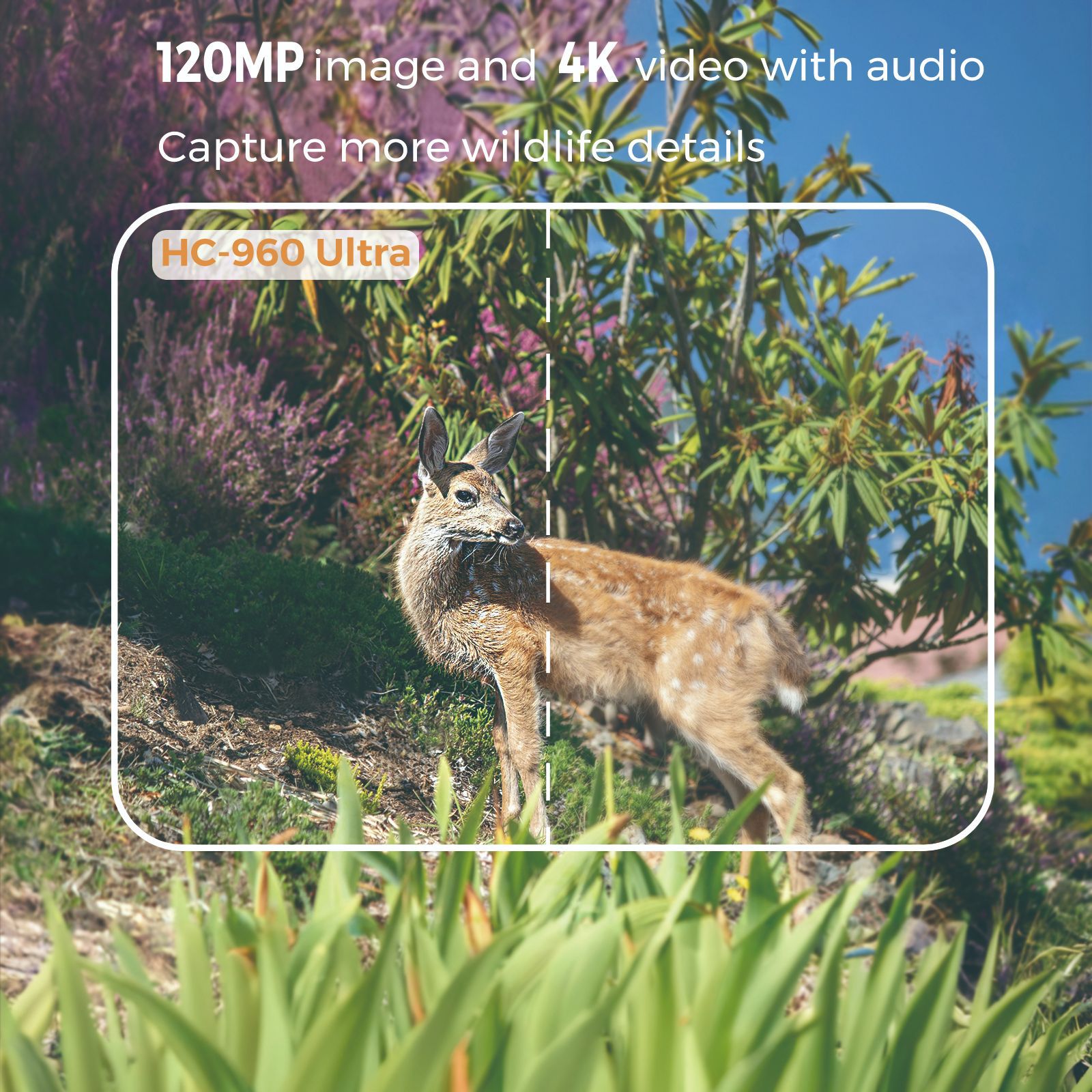4G outdoor wildlife infrared c - Trail Camera Infrared recension och pris